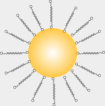 Gold Nanoparticles CTAB